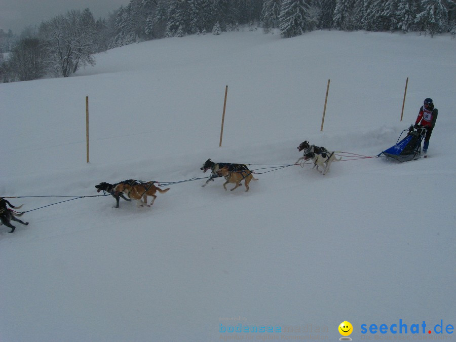 Internationales Schlittenhunderennen: Todtmoos im Schwarzwald, 31.01.2010