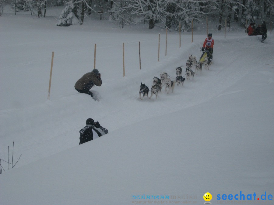 Internationales Schlittenhunderennen: Todtmoos im Schwarzwald, 31.01.2010