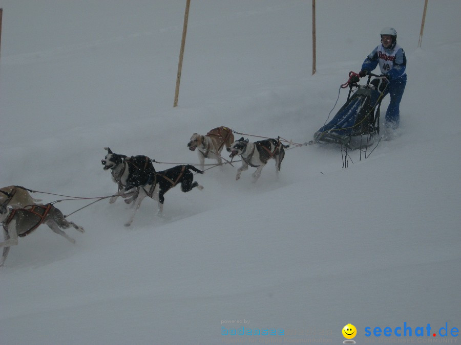 Internationales Schlittenhunderennen: Todtmoos im Schwarzwald, 31.01.2010