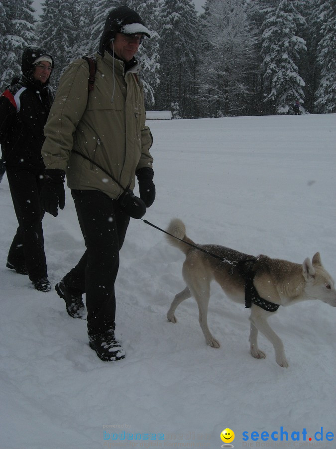 Internationales Schlittenhunderennen: Todtmoos im Schwarzwald, 31.01.2010