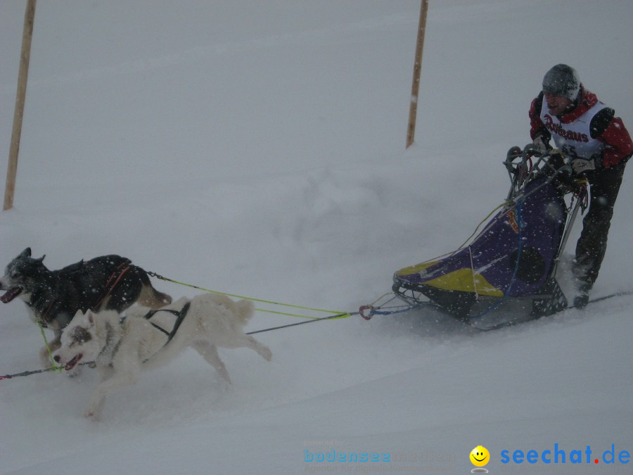 Internationales Schlittenhunderennen: Todtmoos im Schwarzwald, 31.01.2010