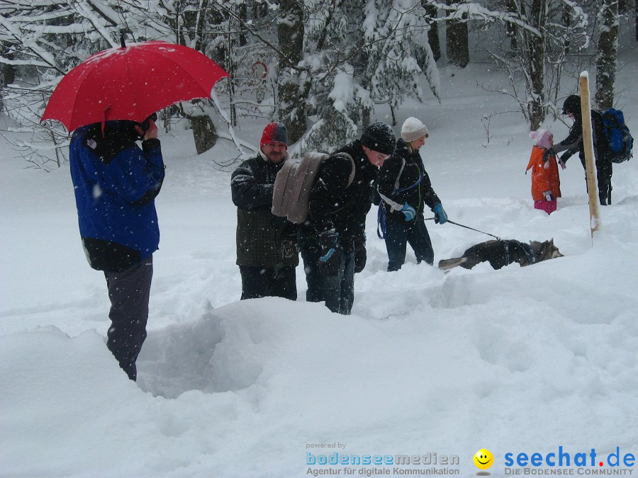 Internationales Schlittenhunderennen: Todtmoos im Schwarzwald, 31.01.2010