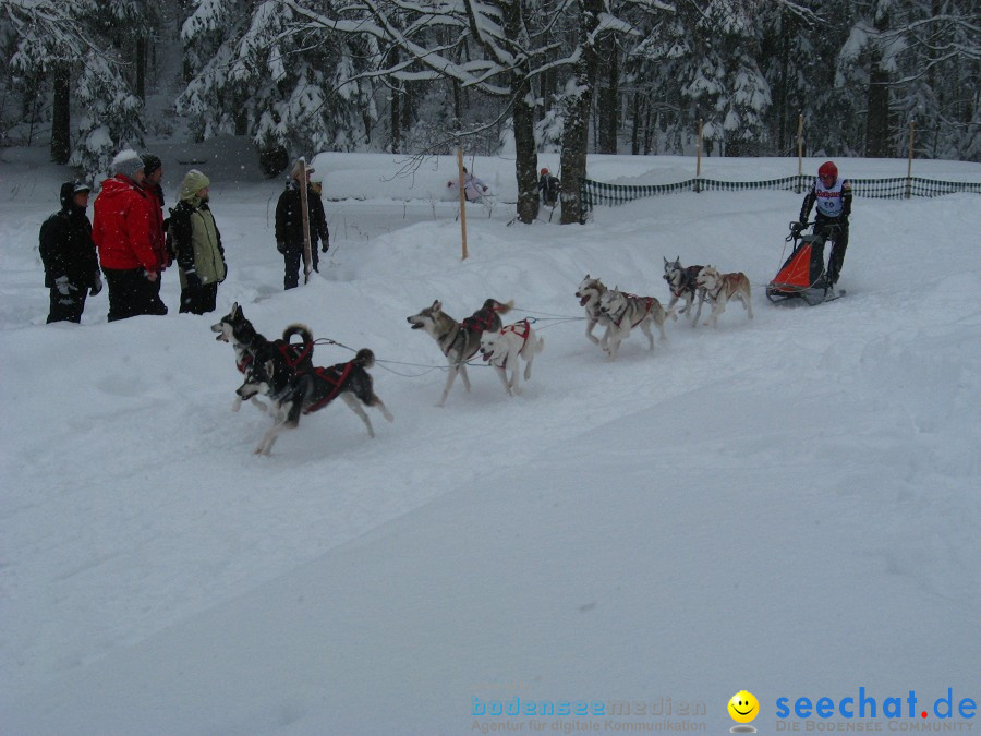 Internationales Schlittenhunderennen: Todtmoos im Schwarzwald, 31.01.2010