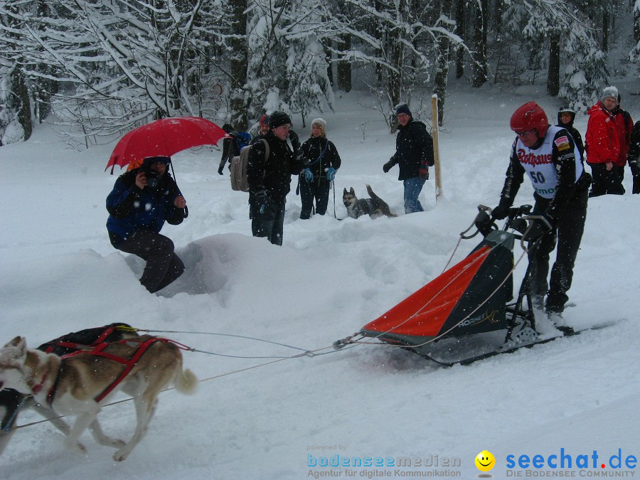 Internationales Schlittenhunderennen: Todtmoos im Schwarzwald, 31.01.2010