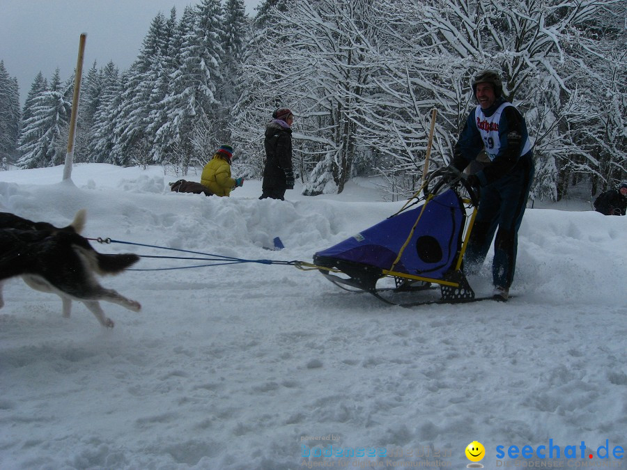 Internationales Schlittenhunderennen: Todtmoos im Schwarzwald, 31.01.2010