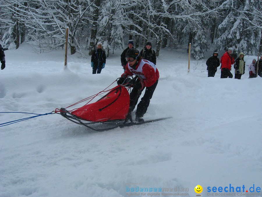 Internationales Schlittenhunderennen: Todtmoos im Schwarzwald, 31.01.2010