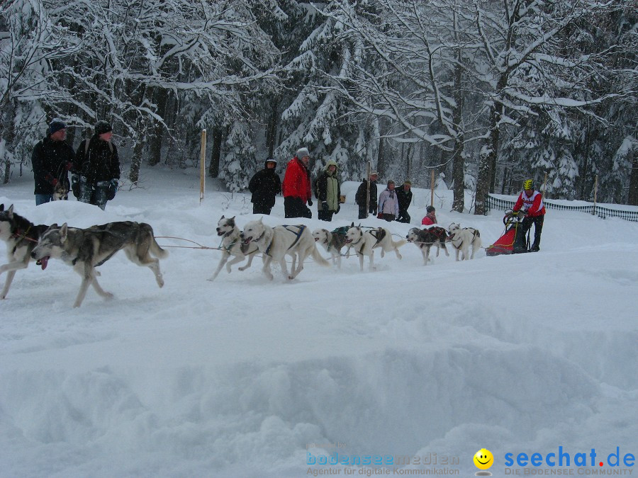 Internationales Schlittenhunderennen: Todtmoos im Schwarzwald, 31.01.2010