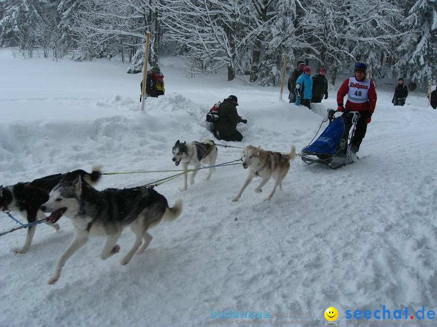 Internationales Schlittenhunderennen: Todtmoos im Schwarzwald, 31.01.2010