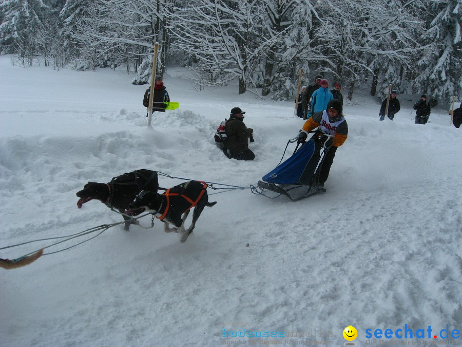 Internationales Schlittenhunderennen: Todtmoos im Schwarzwald, 31.01.2010