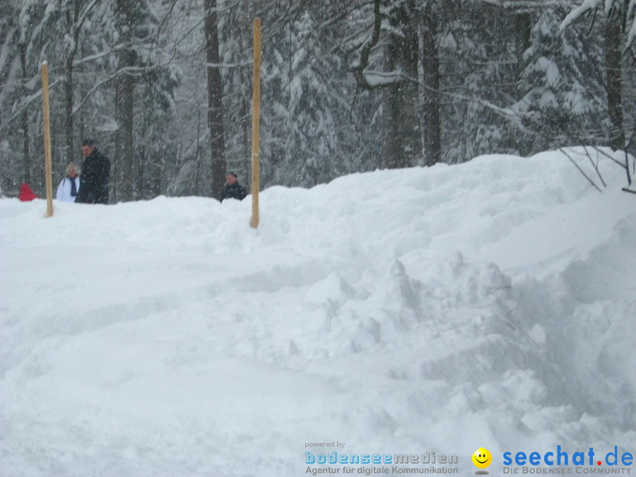 Internationales Schlittenhunderennen: Todtmoos im Schwarzwald, 31.01.2010