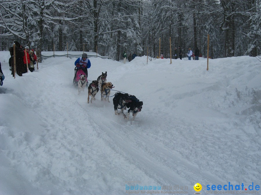 Internationales Schlittenhunderennen: Todtmoos im Schwarzwald, 31.01.2010