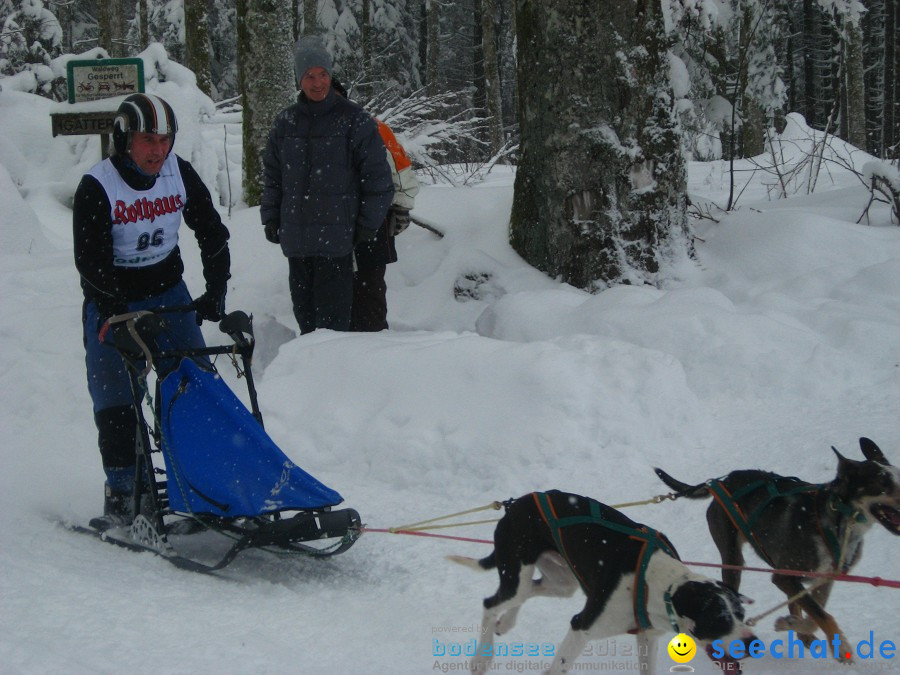 Internationales Schlittenhunderennen: Todtmoos im Schwarzwald, 31.01.2010