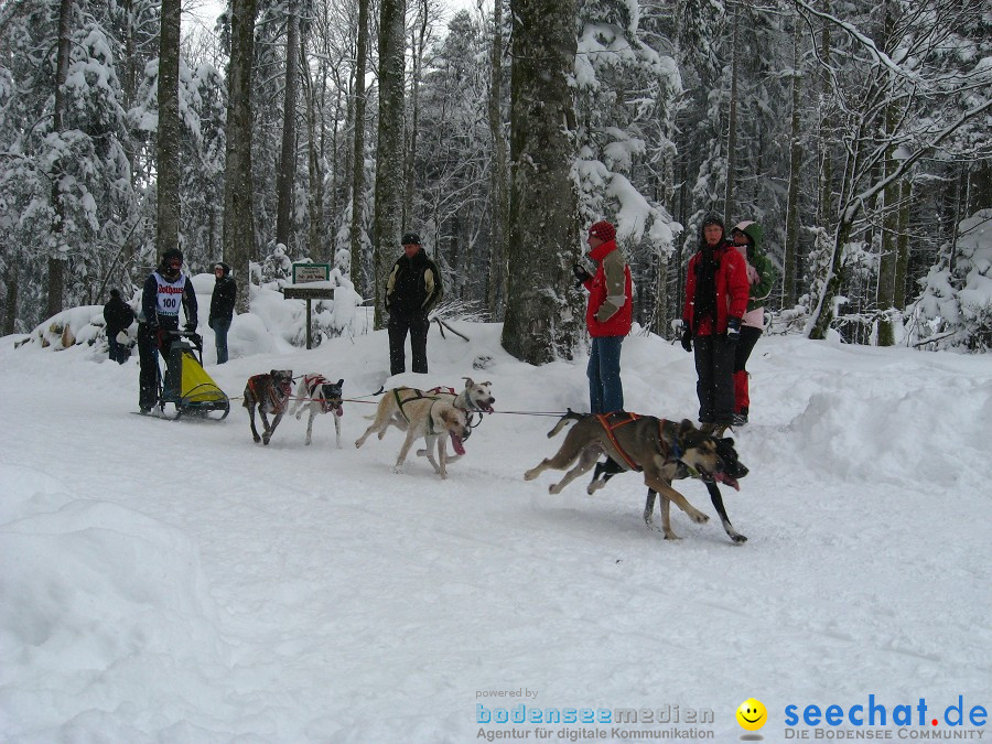 Internationales Schlittenhunderennen: Todtmoos im Schwarzwald, 31.01.2010