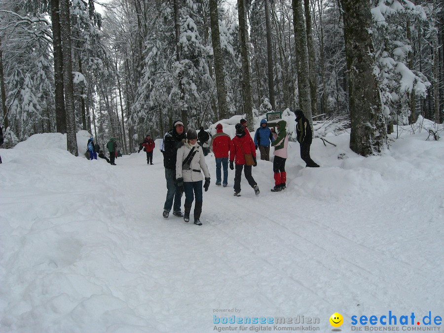 Internationales Schlittenhunderennen: Todtmoos im Schwarzwald, 31.01.2010