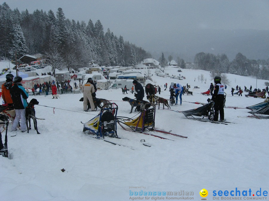 Internationales Schlittenhunderennen: Todtmoos im Schwarzwald, 31.01.2010