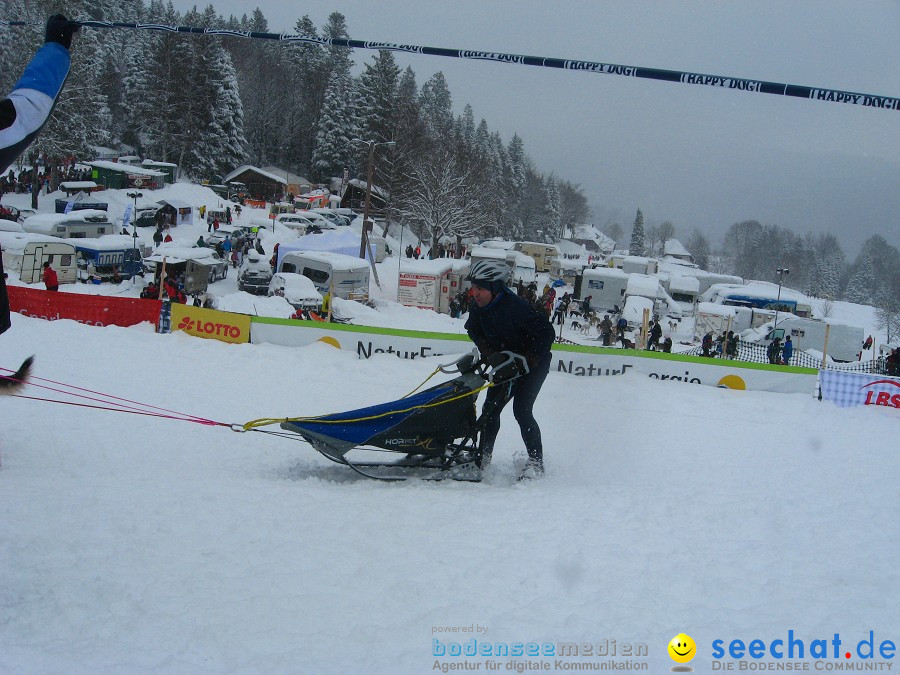 Internationales Schlittenhunderennen: Todtmoos im Schwarzwald, 31.01.2010