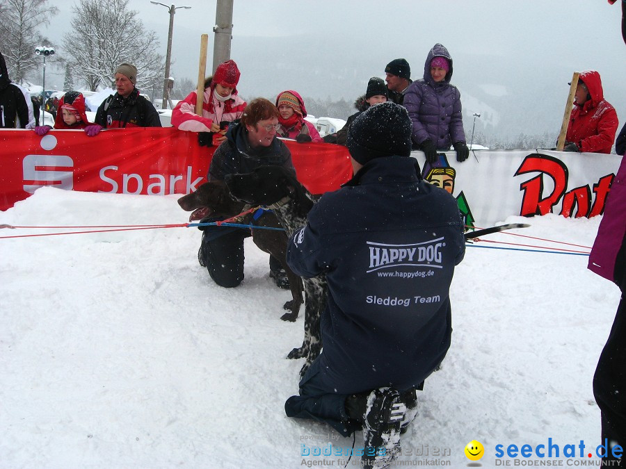 Internationales Schlittenhunderennen: Todtmoos im Schwarzwald, 31.01.2010