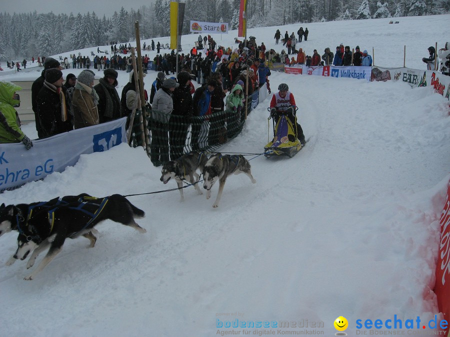 Internationales Schlittenhunderennen: Todtmoos im Schwarzwald, 31.01.2010