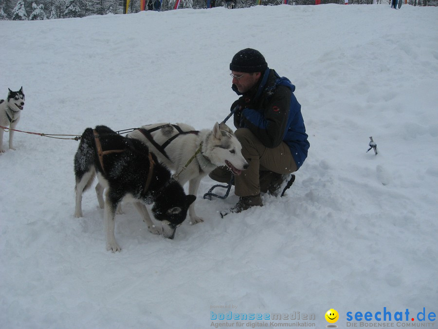 Internationales Schlittenhunderennen: Todtmoos im Schwarzwald, 31.01.2010