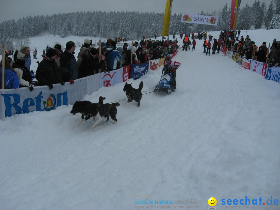 Internationales Schlittenhunderennen: Todtmoos im Schwarzwald, 31.01.2010