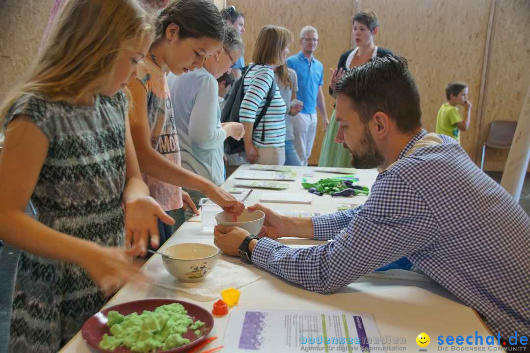 Ham Radio und Maker Faire Bodensee: Friedrichshafen, 16.07.2017