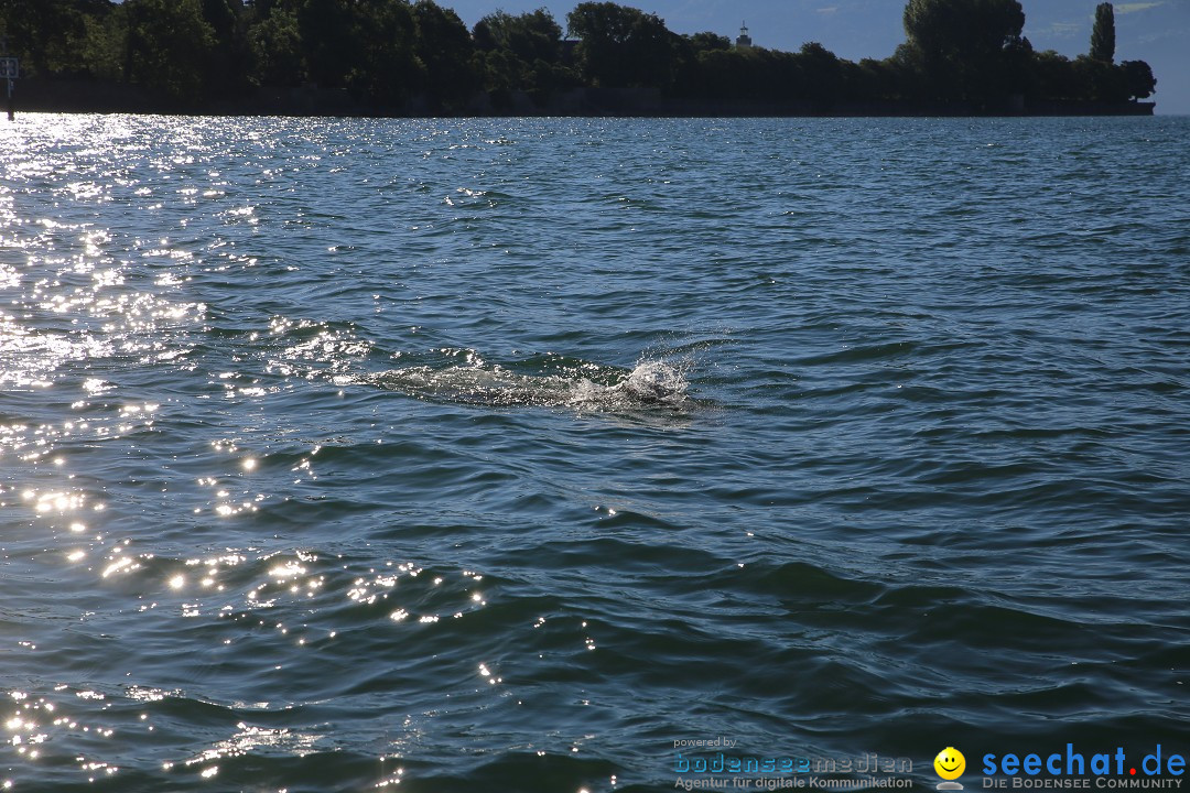 BODENSEEBOOT Bodensee Querung, Prabhat Koli: Lindau-Rorschach, 17.07.17