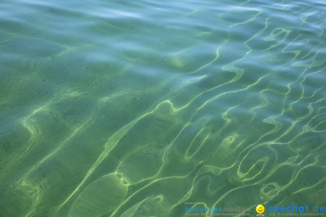 BODENSEEBOOT Bodensee Querung, Prabhat Koli: Lindau-Rorschach, 17.07.17