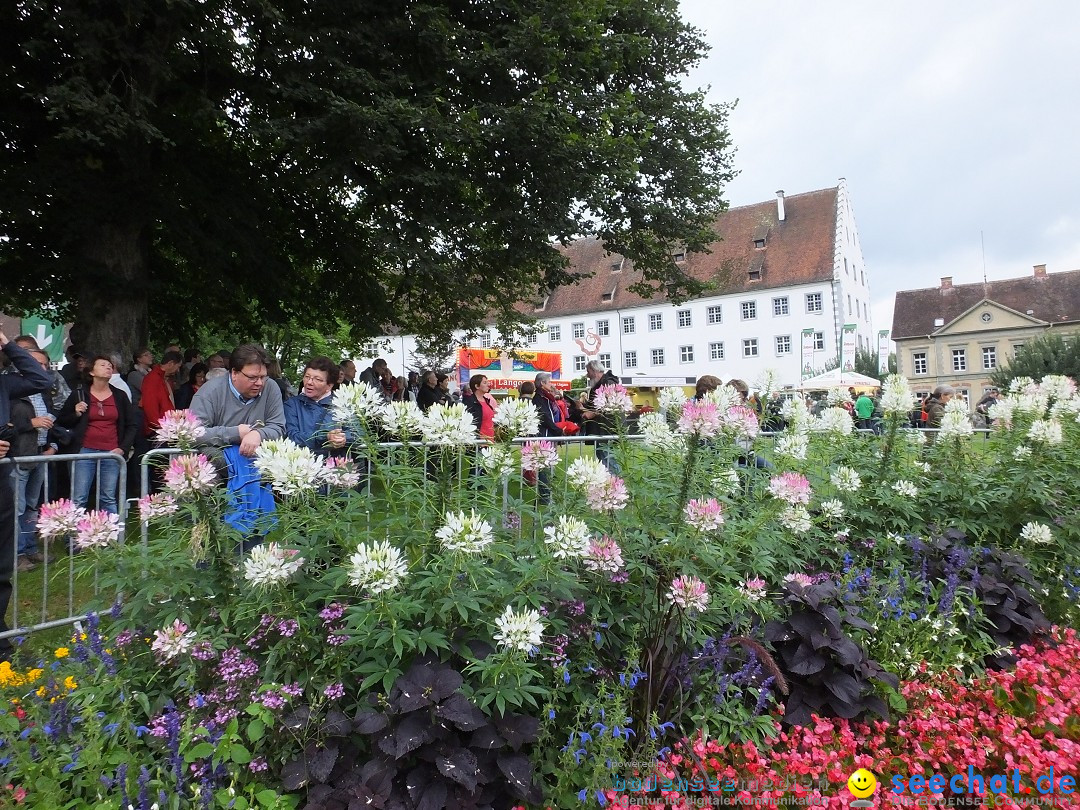 SALEM-RolandoVillazon-Bodensee-Community-SEECHAT_DE-_23_