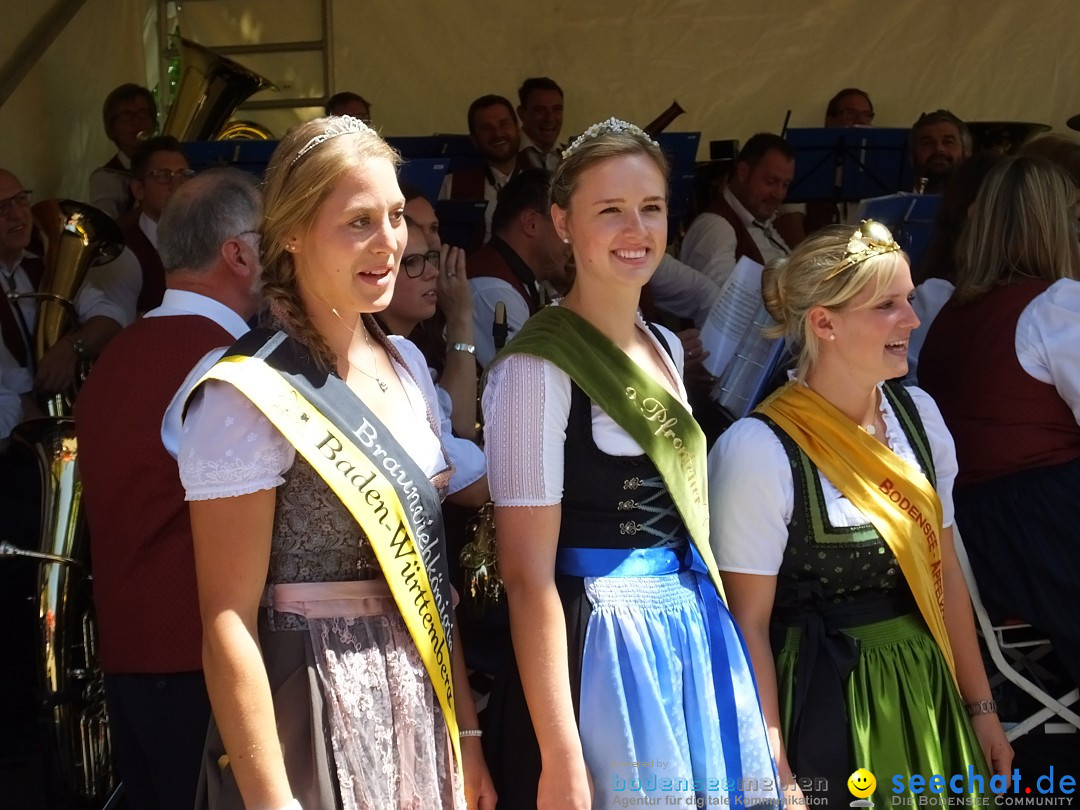 Stadtfest: Bad-Waldsee, 30.07.2017