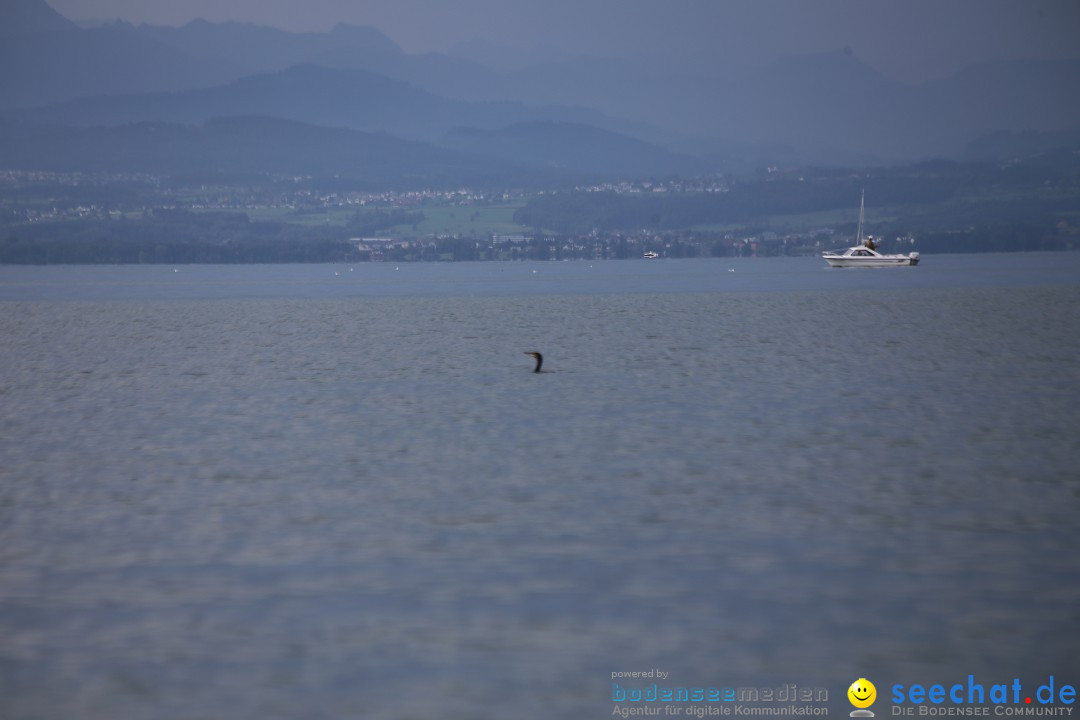 BODENSEEBOOT-Bodenseequerung-Michael-Loechle-2017-Bodensee-Community-SEECHA