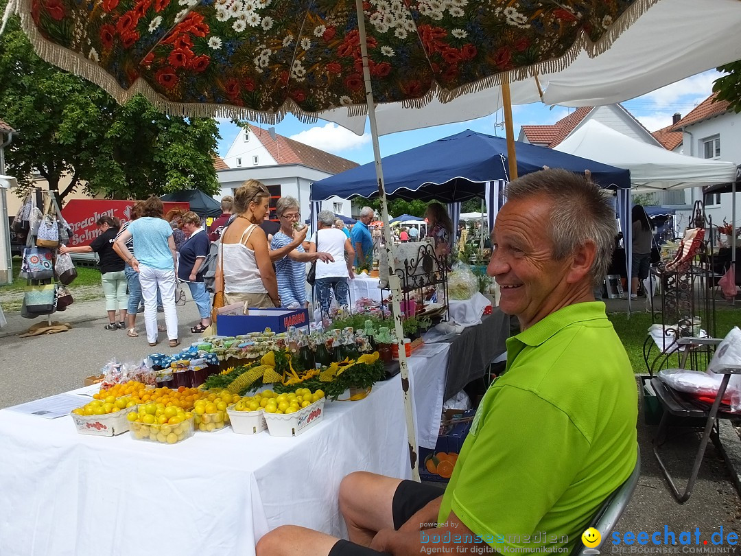 Handwerkermarkt mit Human-Soccer: Oggelshausen, 05.08.2017