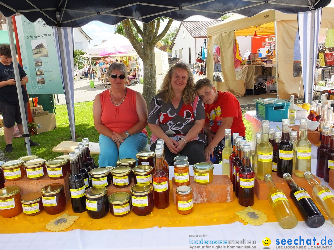 Handwerkermarkt mit Human-Soccer: Oggelshausen, 05.08.2017