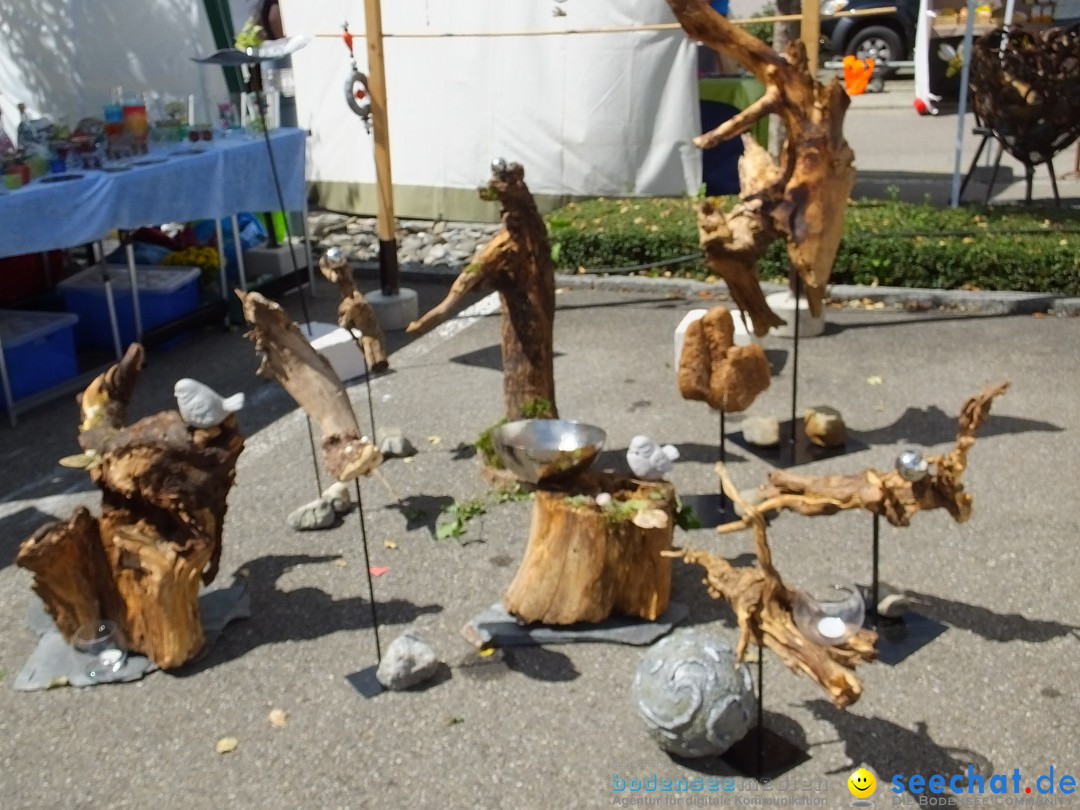 Handwerkermarkt mit Human-Soccer: Oggelshausen, 05.08.2017