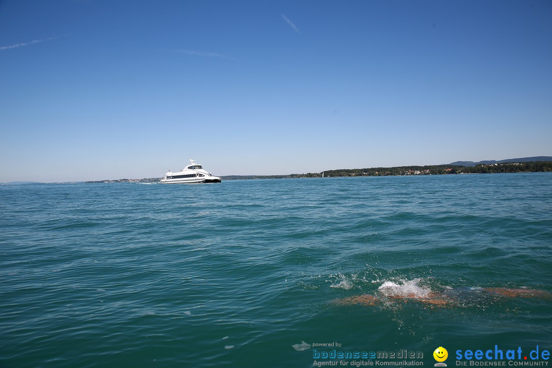 BODENSEEBOOT Breitenquerung, Sven Eckhardt: Friedrichshafen, 07.08.2017