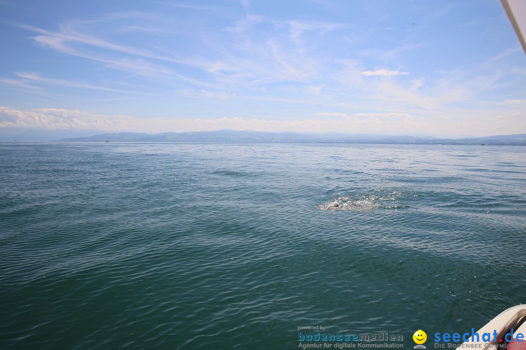 BODENSEEBOOT mit Bodenseequerung von Daniel Los, Romanshorn, 13.08.2017