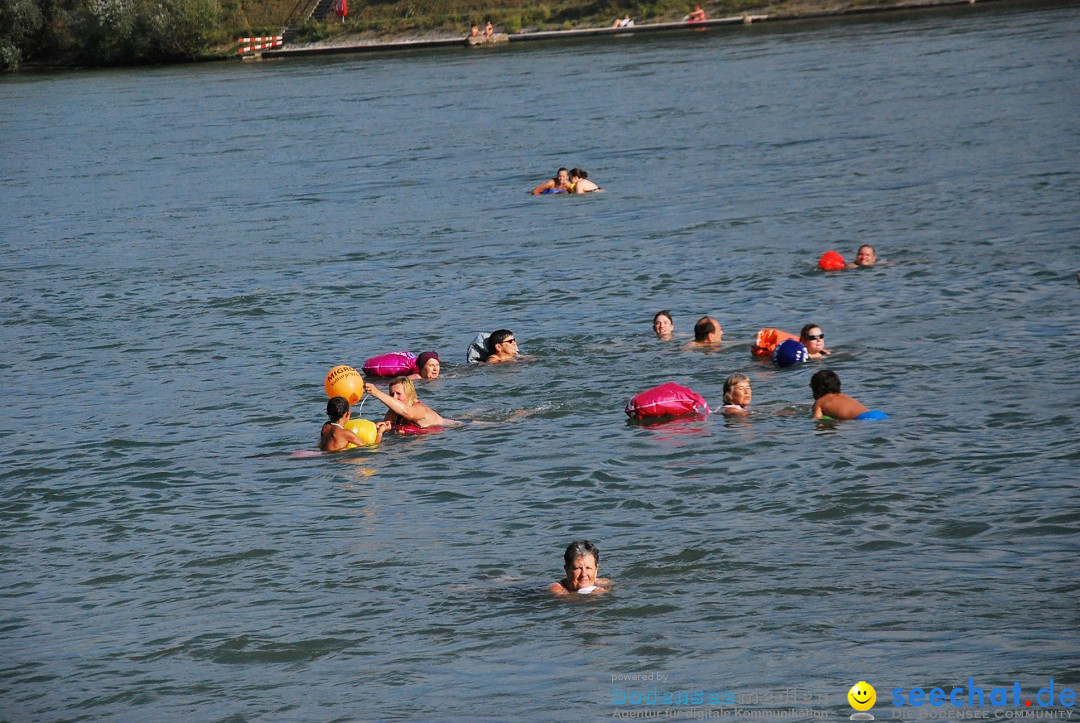 Rheinschwimmen: Basel, 15.08.2017