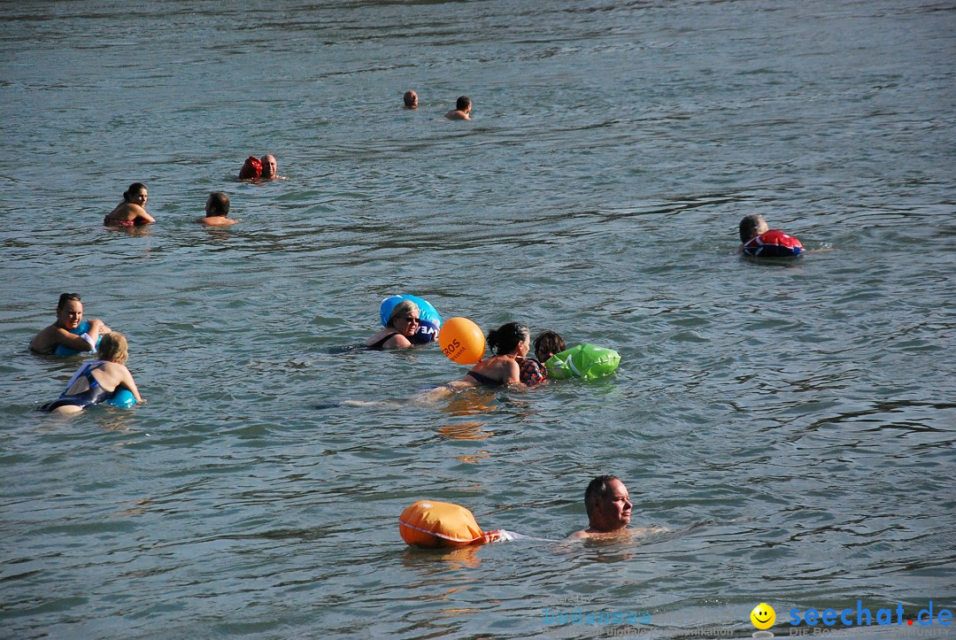 Rheinschwimmen: Basel, 15.08.2017