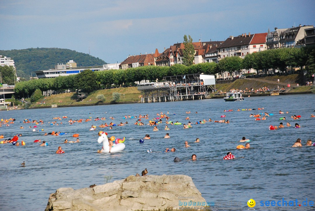 Rheinschwimmen: Basel, 15.08.2017