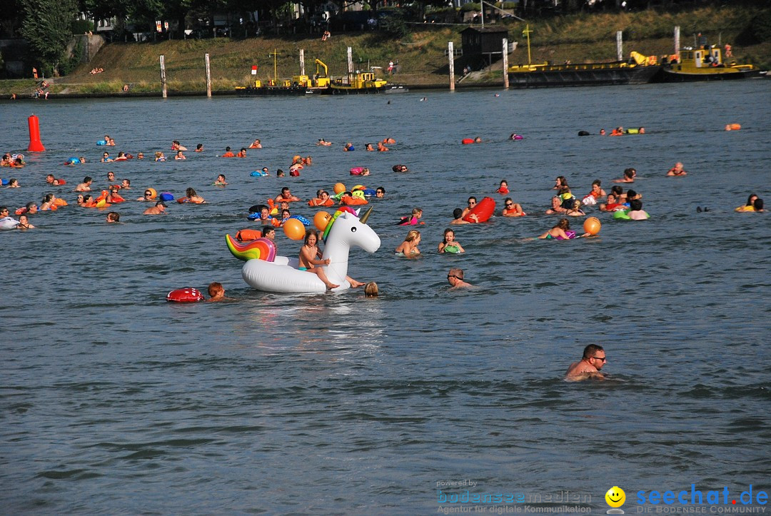 Rheinschwimmen: Basel, 15.08.2017