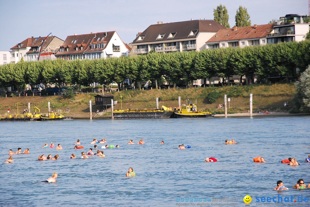 Rheinschwimmen: Basel, 15.08.2017