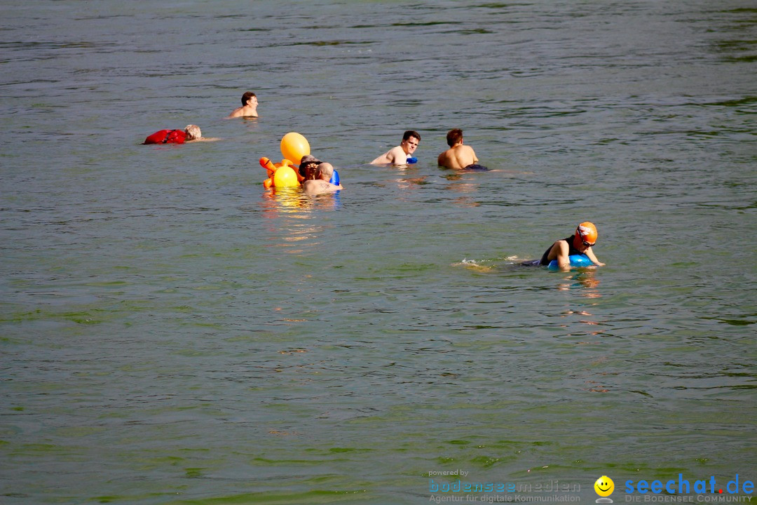 Rheinschwimmen: Basel, 15.08.2017