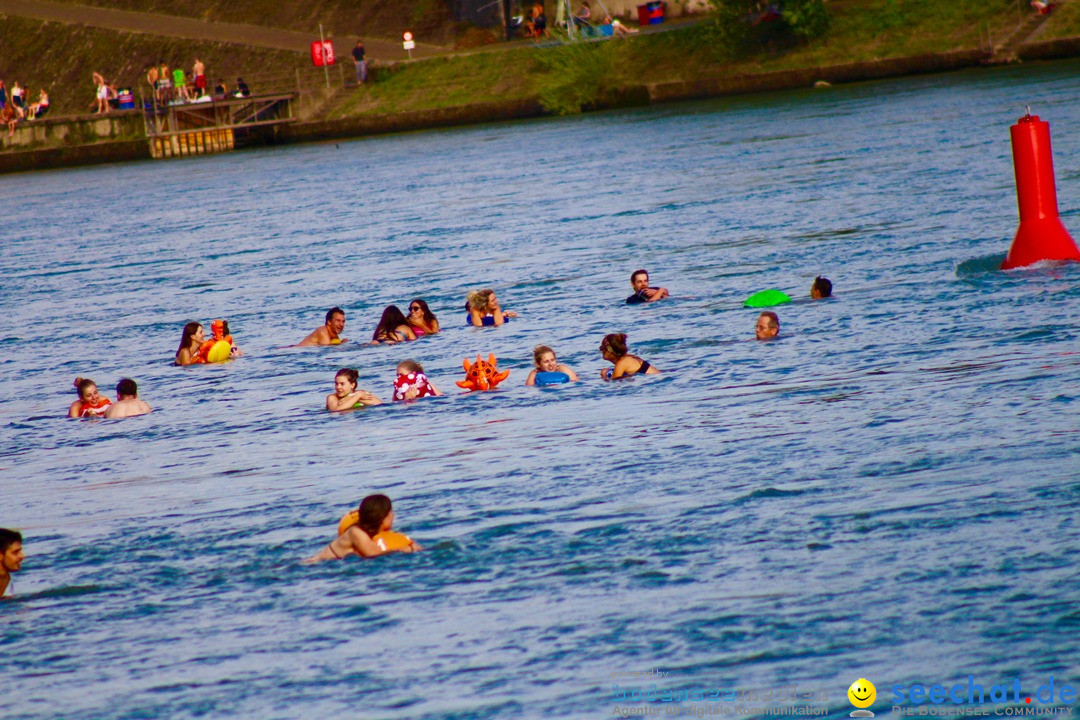 Rheinschwimmen: Basel, 15.08.2017