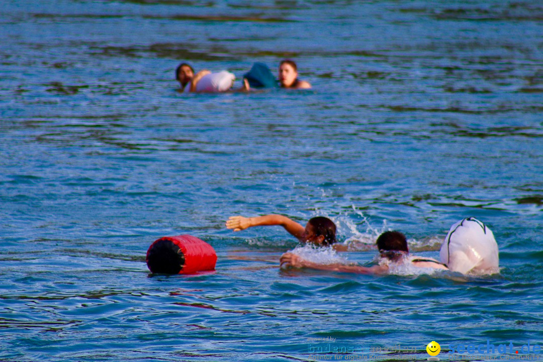 Rheinschwimmen: Basel, 15.08.2017