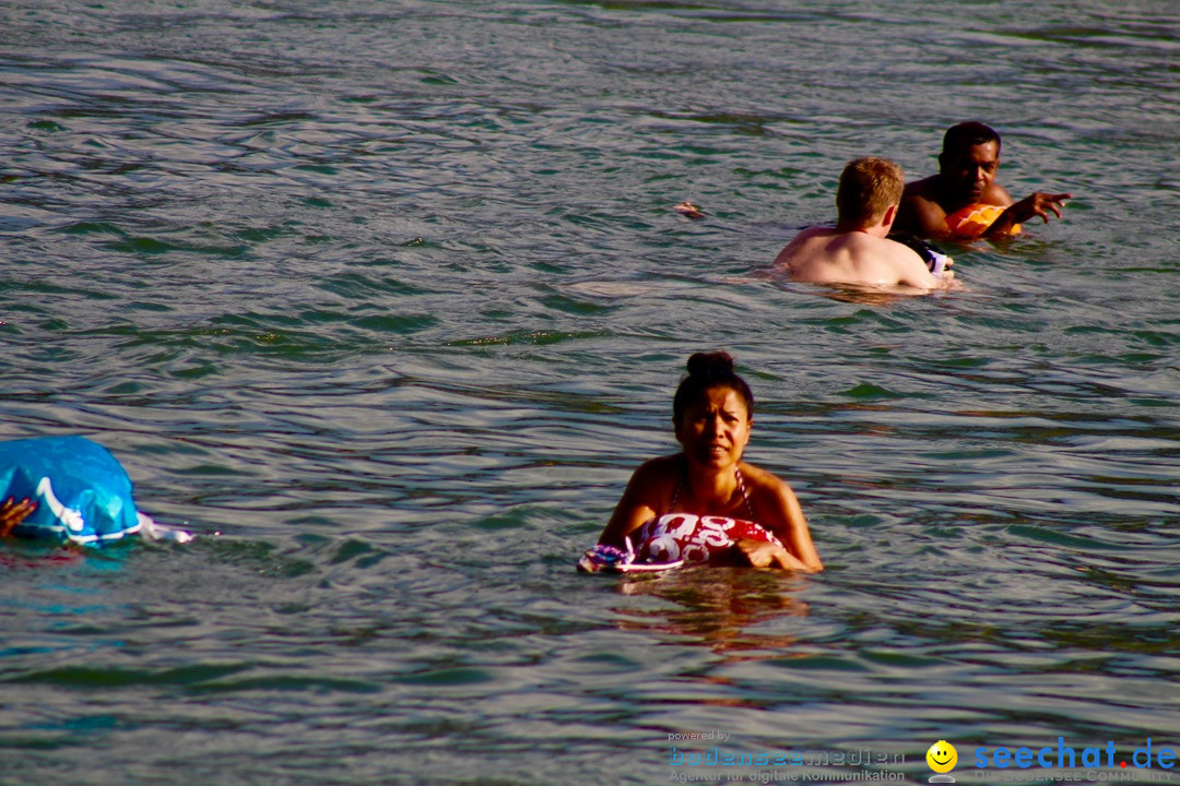 Rheinschwimmen: Basel, 15.08.2017