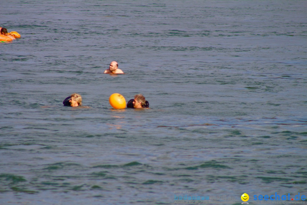 Rheinschwimmen: Basel, 15.08.2017