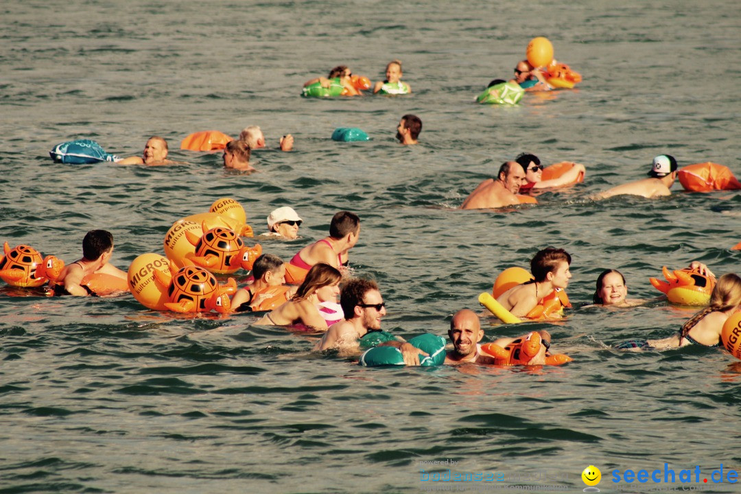 Rheinschwimmen: Basel, 15.08.2017