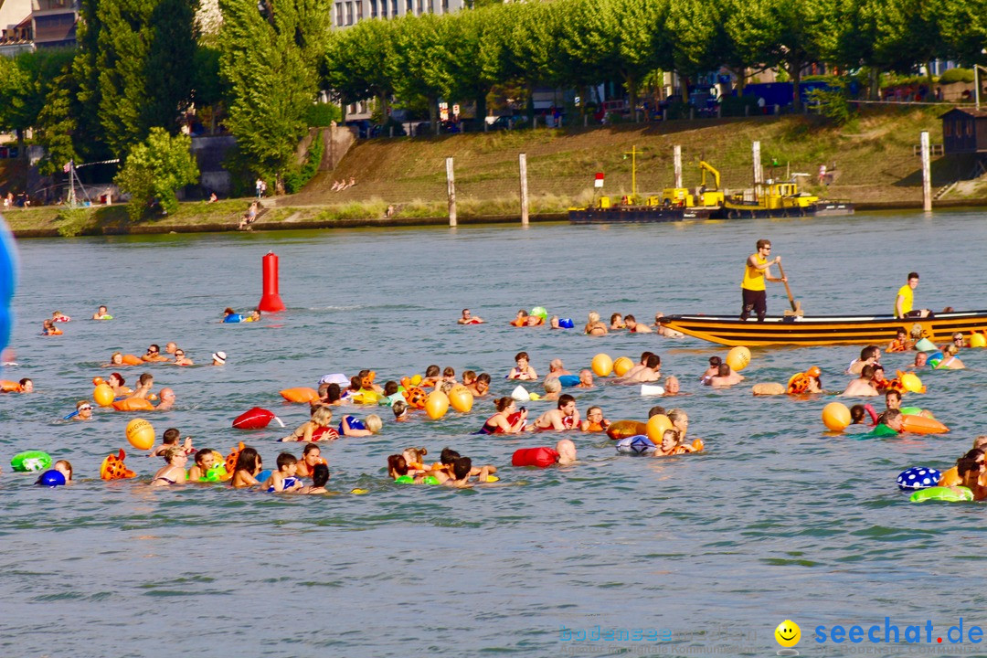 Rheinschwimmen: Basel, 15.08.2017