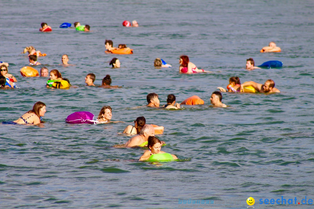 Rheinschwimmen: Basel, 15.08.2017