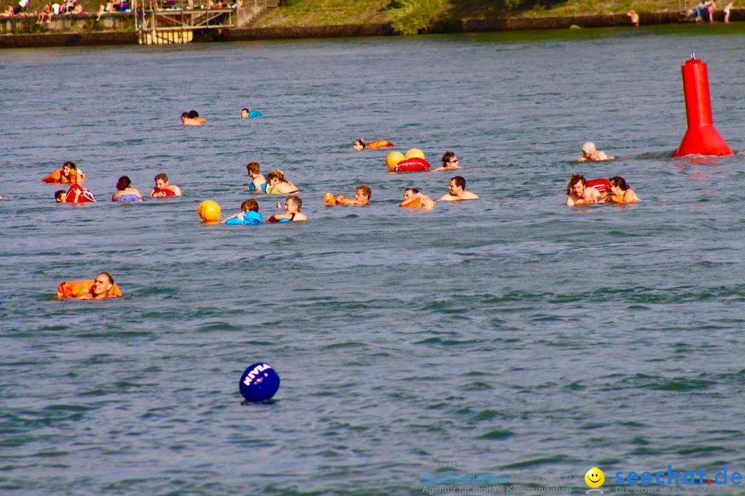 Rheinschwimmen: Basel, 15.08.2017