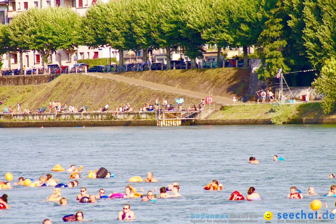 Rheinschwimmen: Basel, 15.08.2017